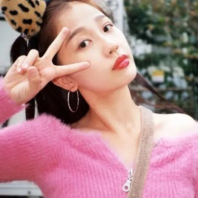 狐狸之声国语海报