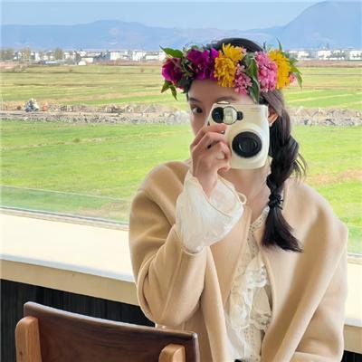 秘密指挥海报